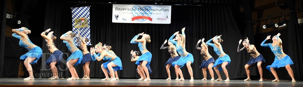Bayerische DVG 2015 0173
