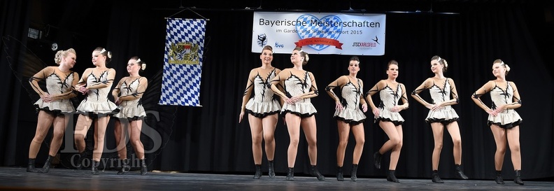 Bayerische DVG 2015 0465