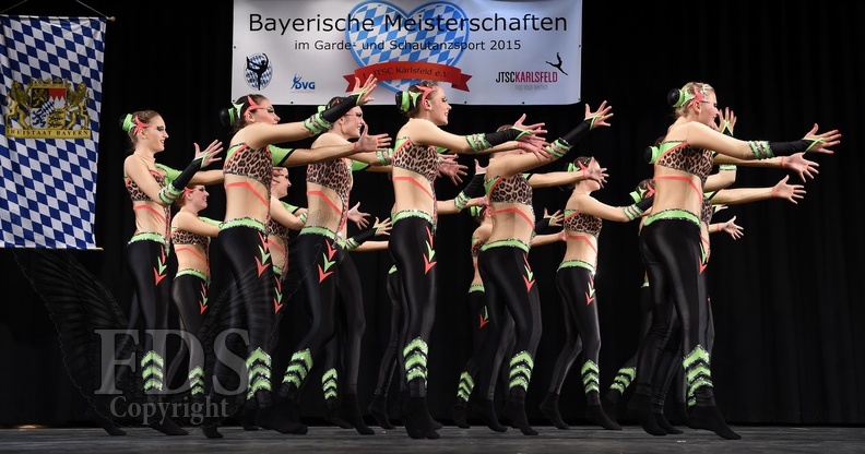 Bayerische DVG 2015 0542