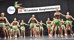 RA Landshut 22 1 17  1293