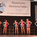 Bayerische DVG 2023 0355