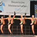 Bayerische DVG 2023 0378