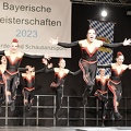 Bayerische DVG 2023 2629