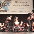 Bayerische DVG 2023 2650