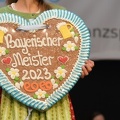 Bayerische DVG 2023 0537